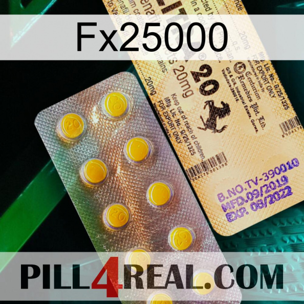 Fx25000 new06.jpg